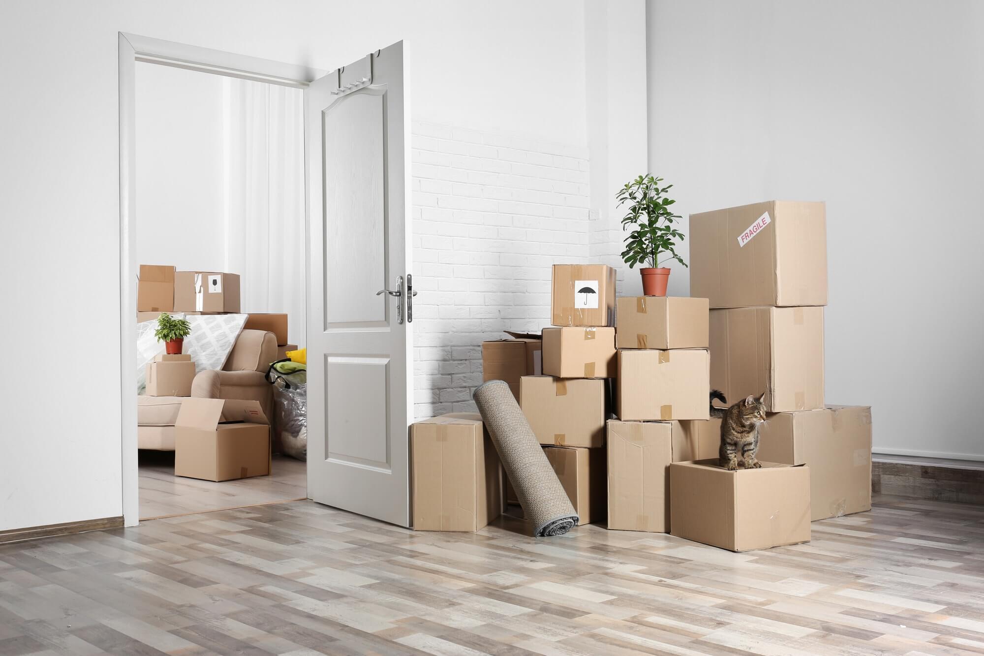 Pro Movers Spring TX: Redefining Moving Services in Spring, TX and Conroe, TX